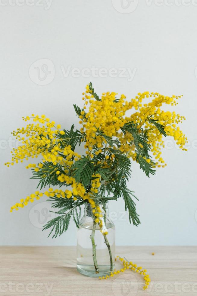 A bouquet of mimosa in a vase on a blue wall background. Yellow spring flowers. March 8 , Easter, Mother's Day. Copy space photo