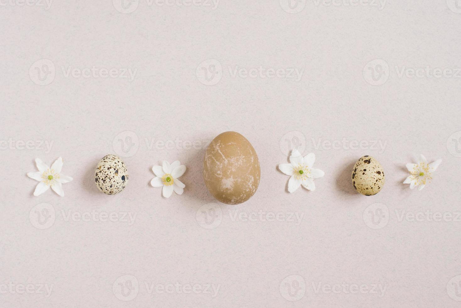 Top view of the Happy Easter holiday background concept decoration arrangements. There was a quail Easter egg and a chicken egg with white flowers on the beige table. Creative greeting card photo