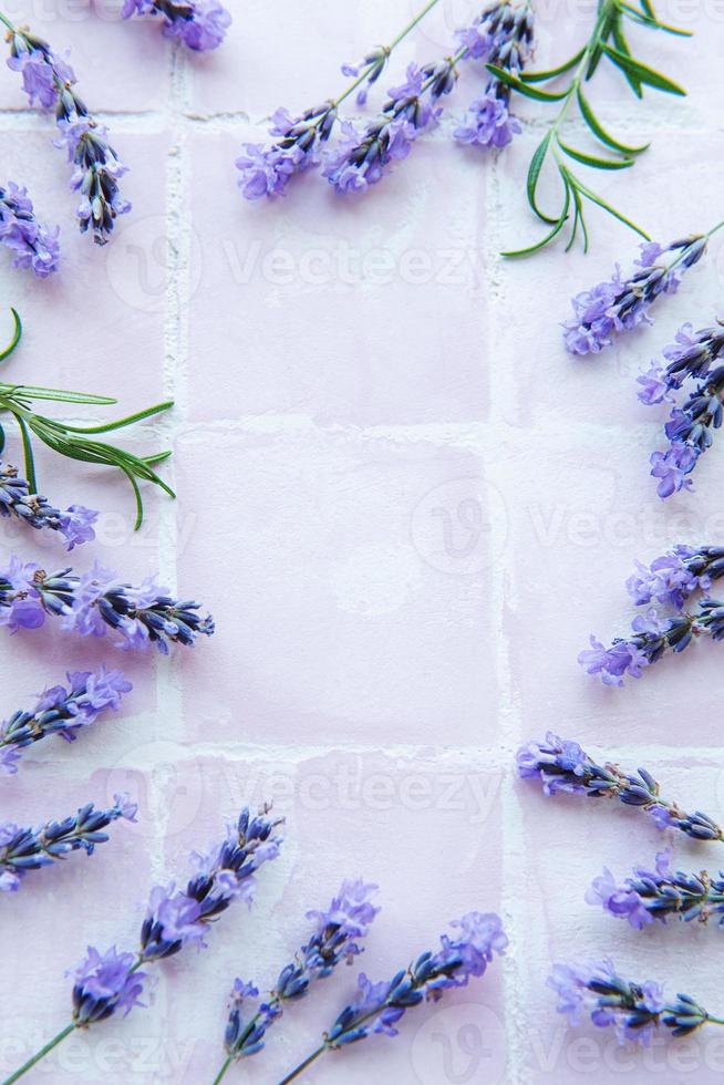 Lavender flowers and leaves creative frame on a pink tile background photo