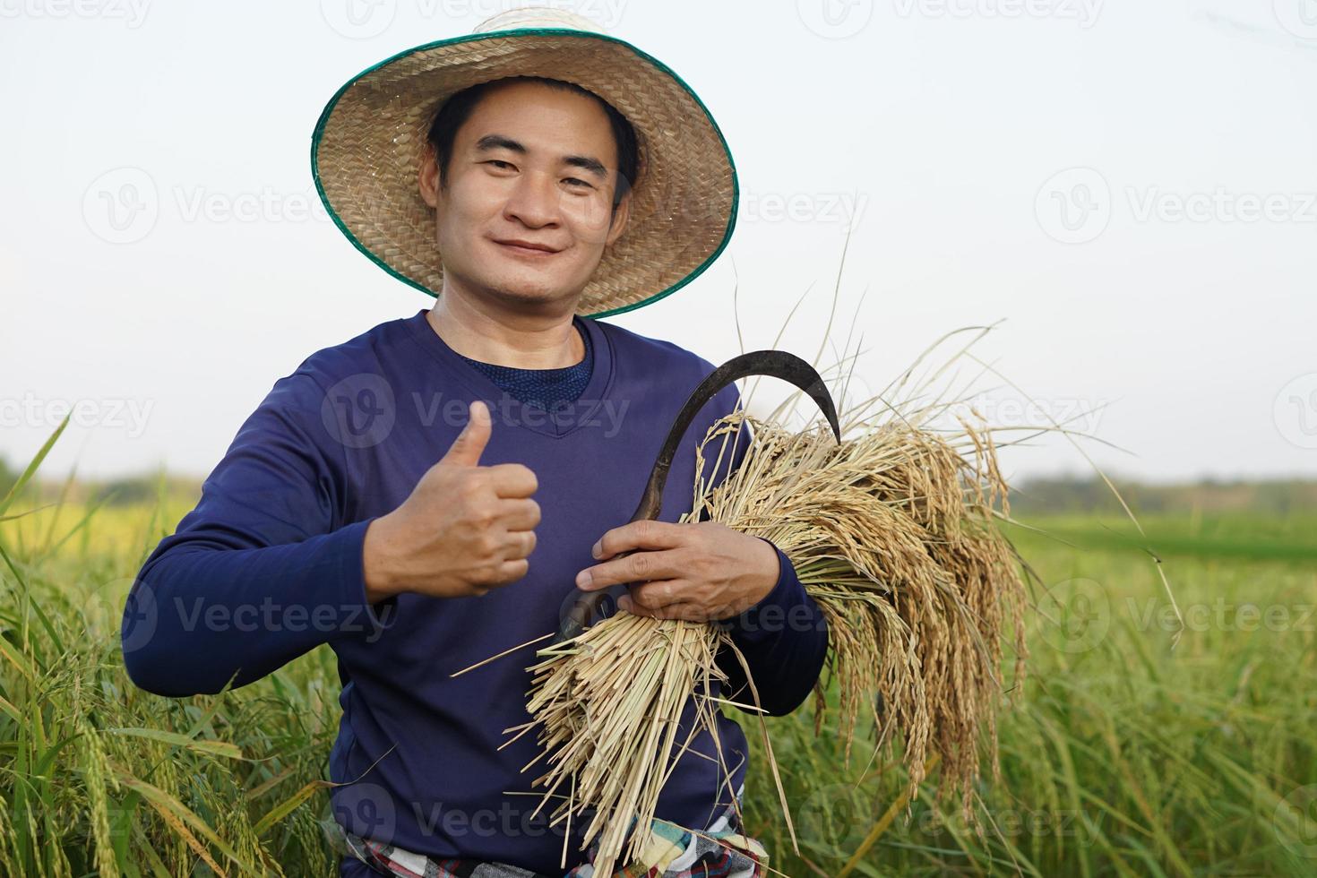 Handsome Asian male farmer wear hat, holds sickle and harvested rice plants at paddy field. Concept , Agriculture occupation. Farmer with organic rice. photo