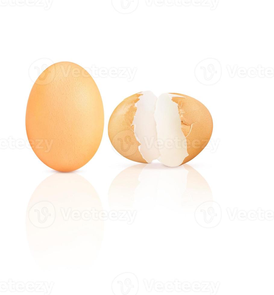 Chicken eggs. Cracked egg shells on a white background. photo