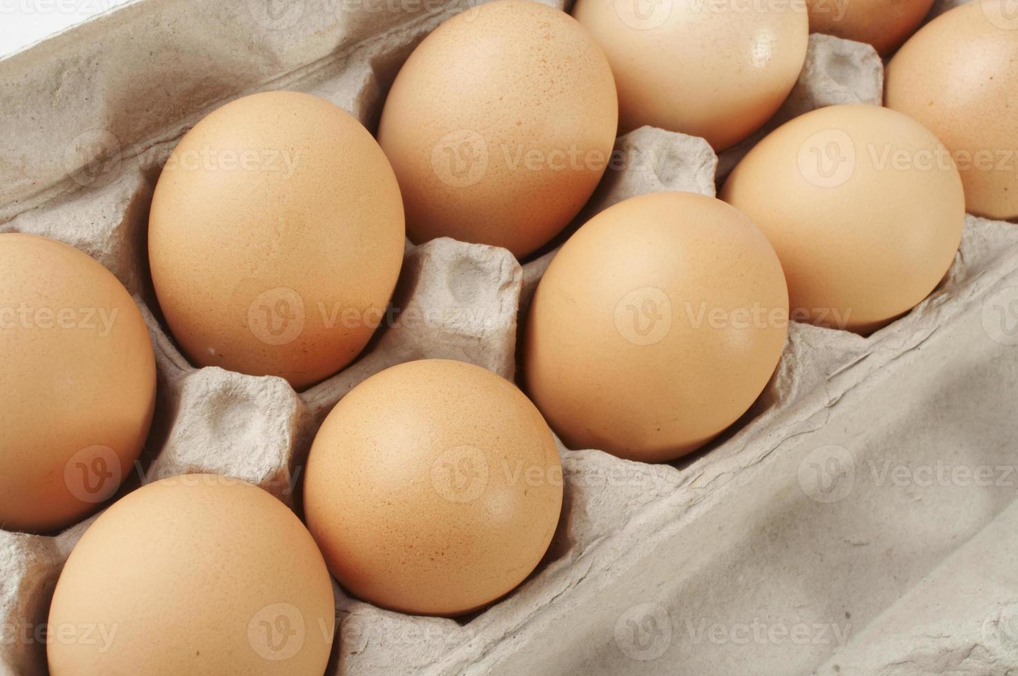A close-up shot of a carton of eggs on a white background photo