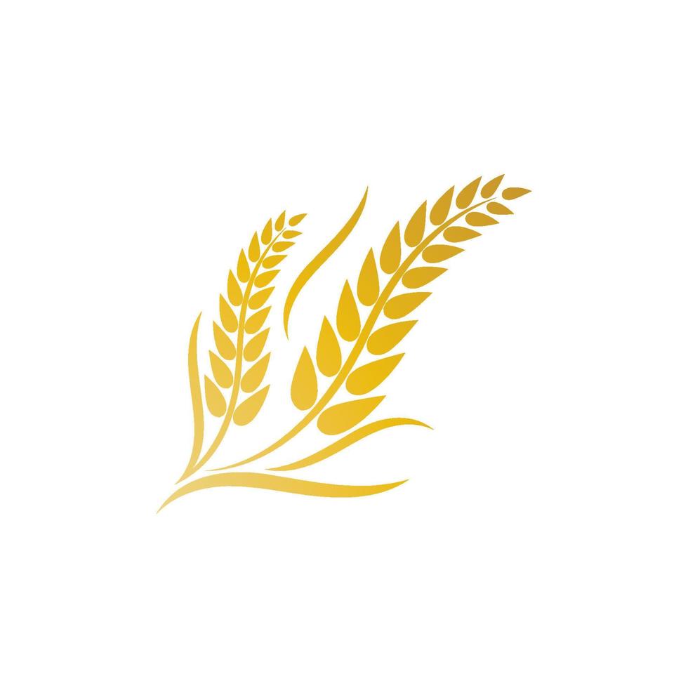 Wheat logo vector icon illustration