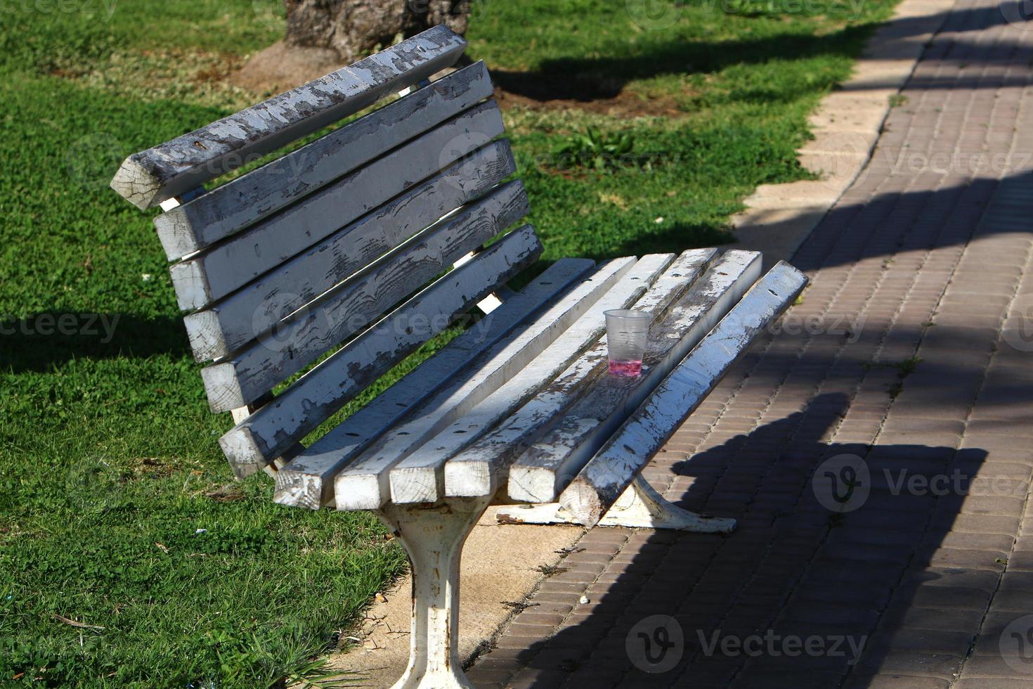 Bench for rest in a city park in Israel. photo