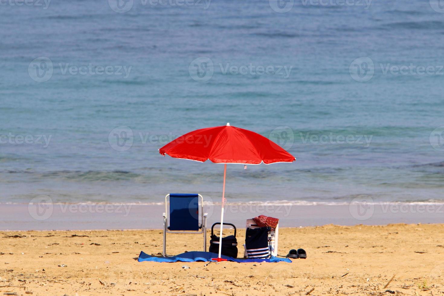 Umbrella in the city park near the sea. photo