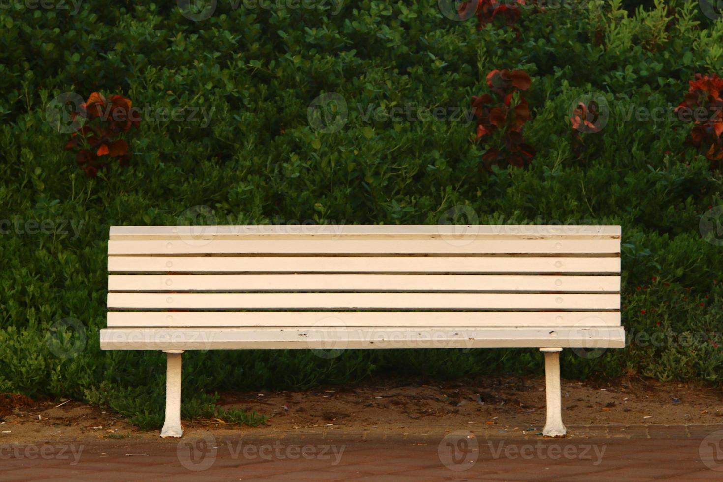 Bench for rest in a city park in Israel. photo