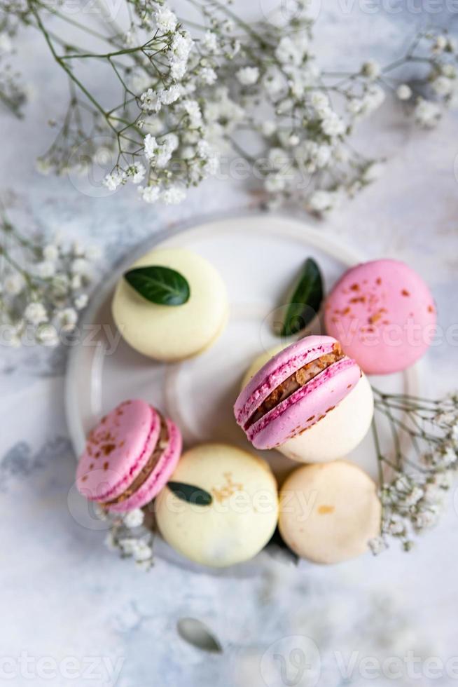 macarrón o macarrón con flores de gypsophila sobre fondo gris. Postre francés de colores pastel con flores frescas. foto