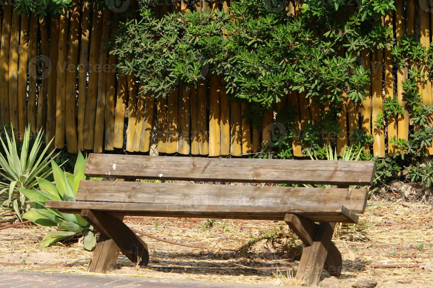 Bench for rest in a city park in Israel. photo