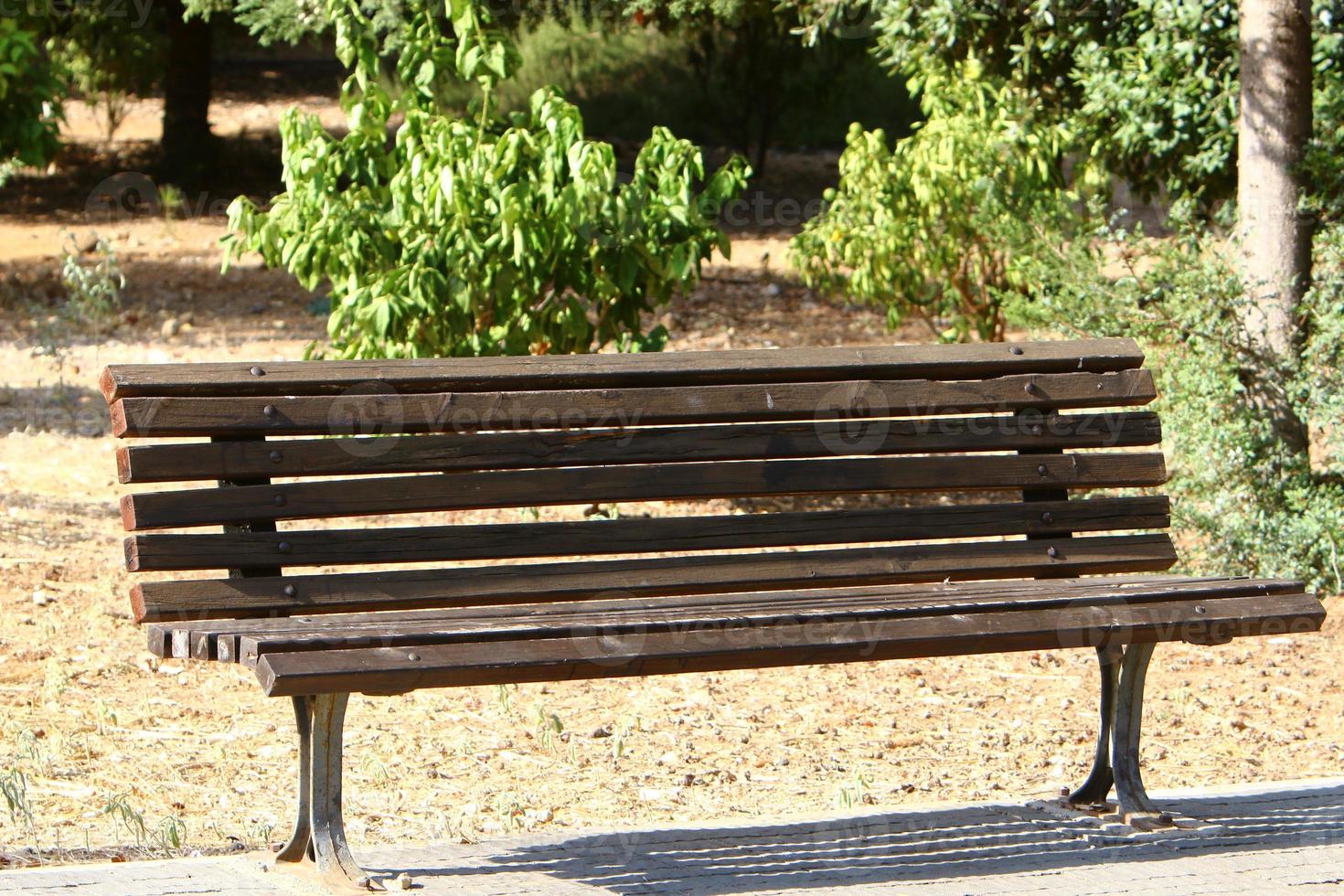 Bench for rest in a city park in Israel. photo