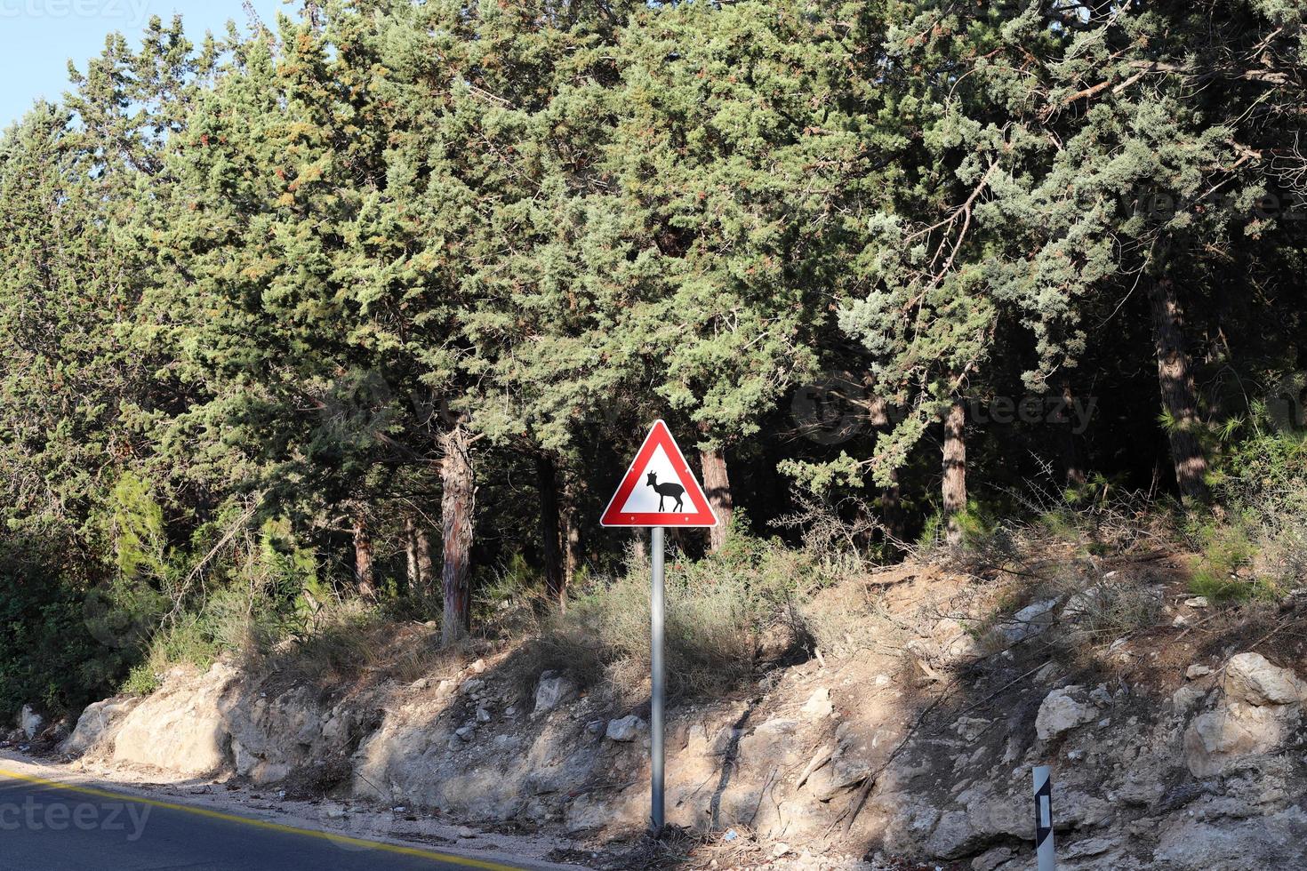 Road signs and road signs in Israel photo