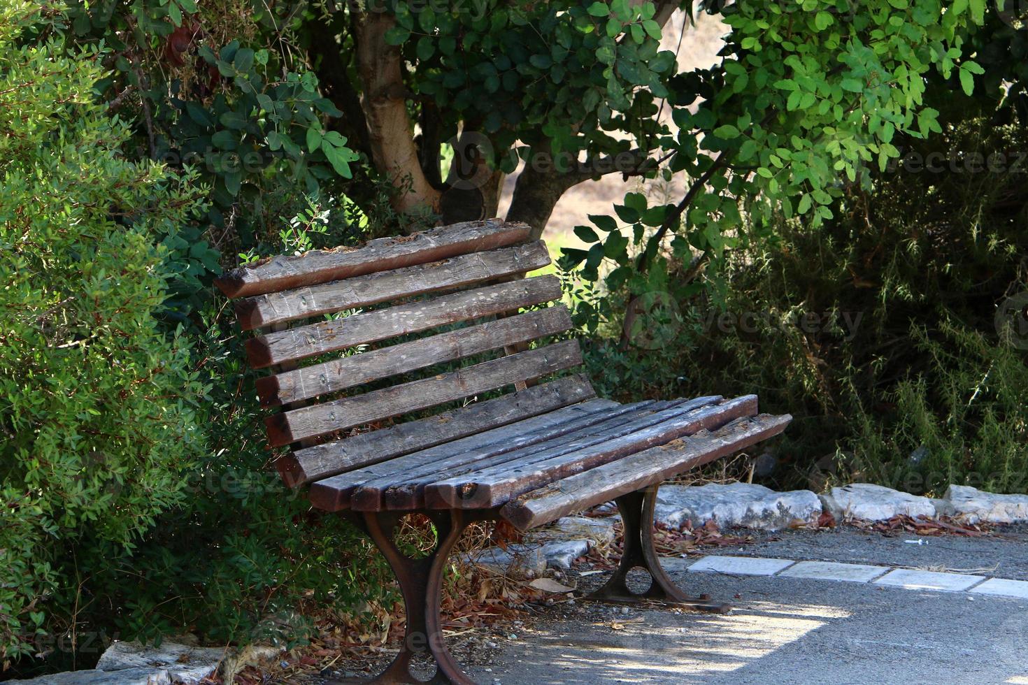 Bench for rest in a city park in Israel. photo
