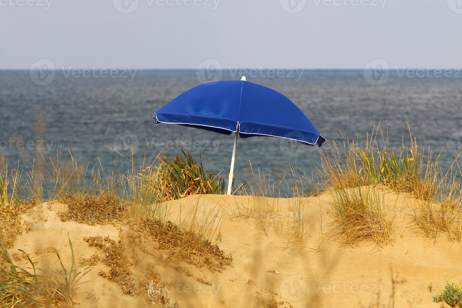 Umbrella in the city park near the sea. photo