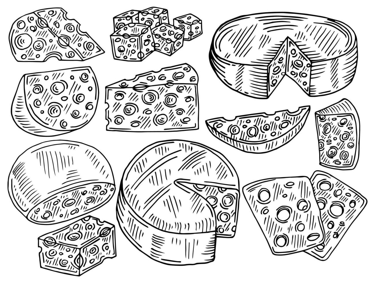 Cheese sketch set. Vector doodle collection of cheese pieces and slices