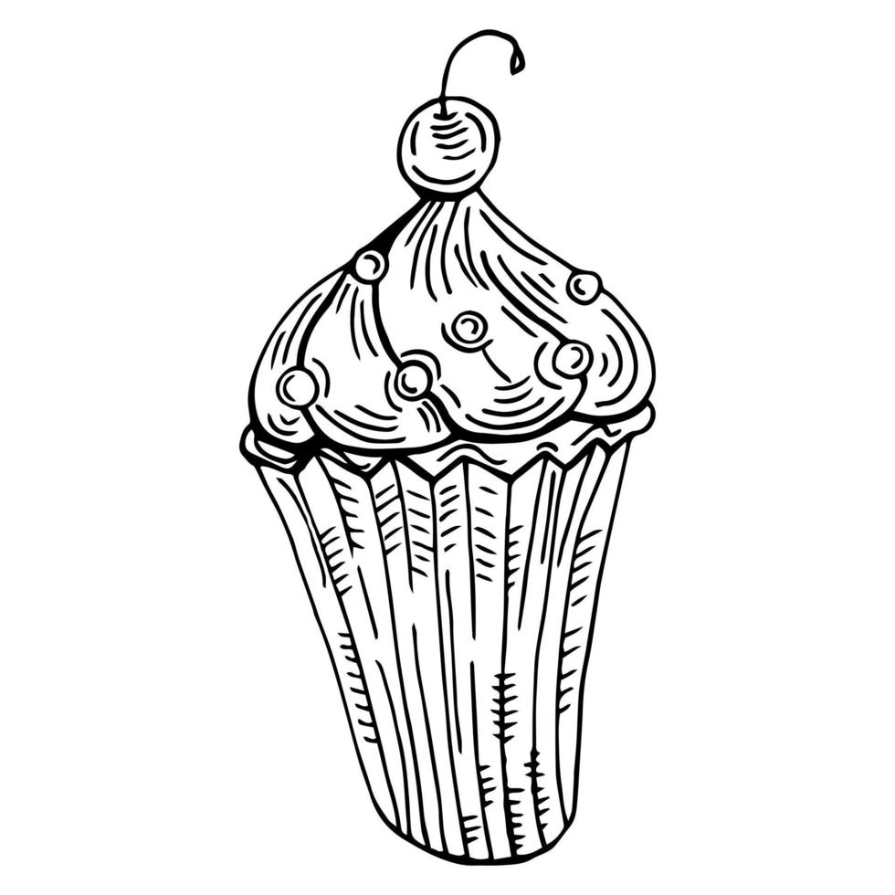 Hand drawn illustration of tasty cupcake. Vector illustration. Sketch cupcake