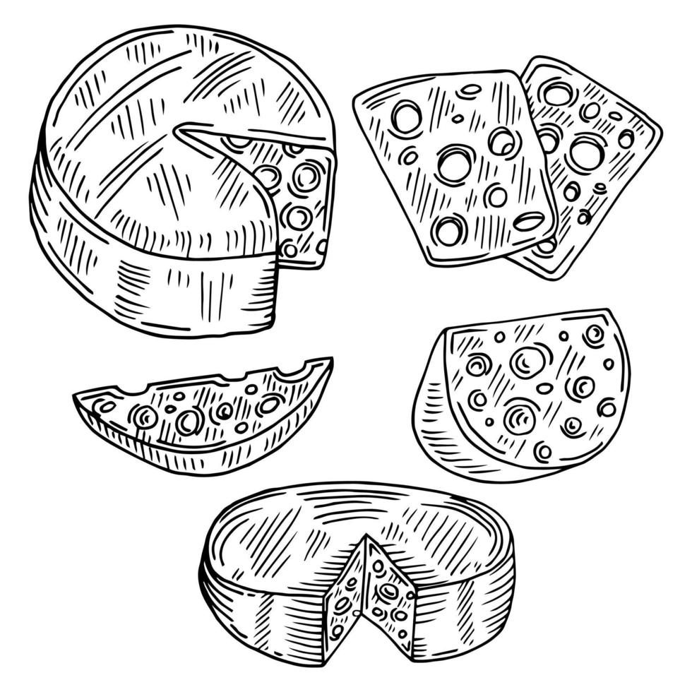 Cheese organic milk butter fresh food vector hand drawn illustration set, menu label, banner poster identity, branding. Stylish design with sketch illustration of Cheese variations cuisine sketch.