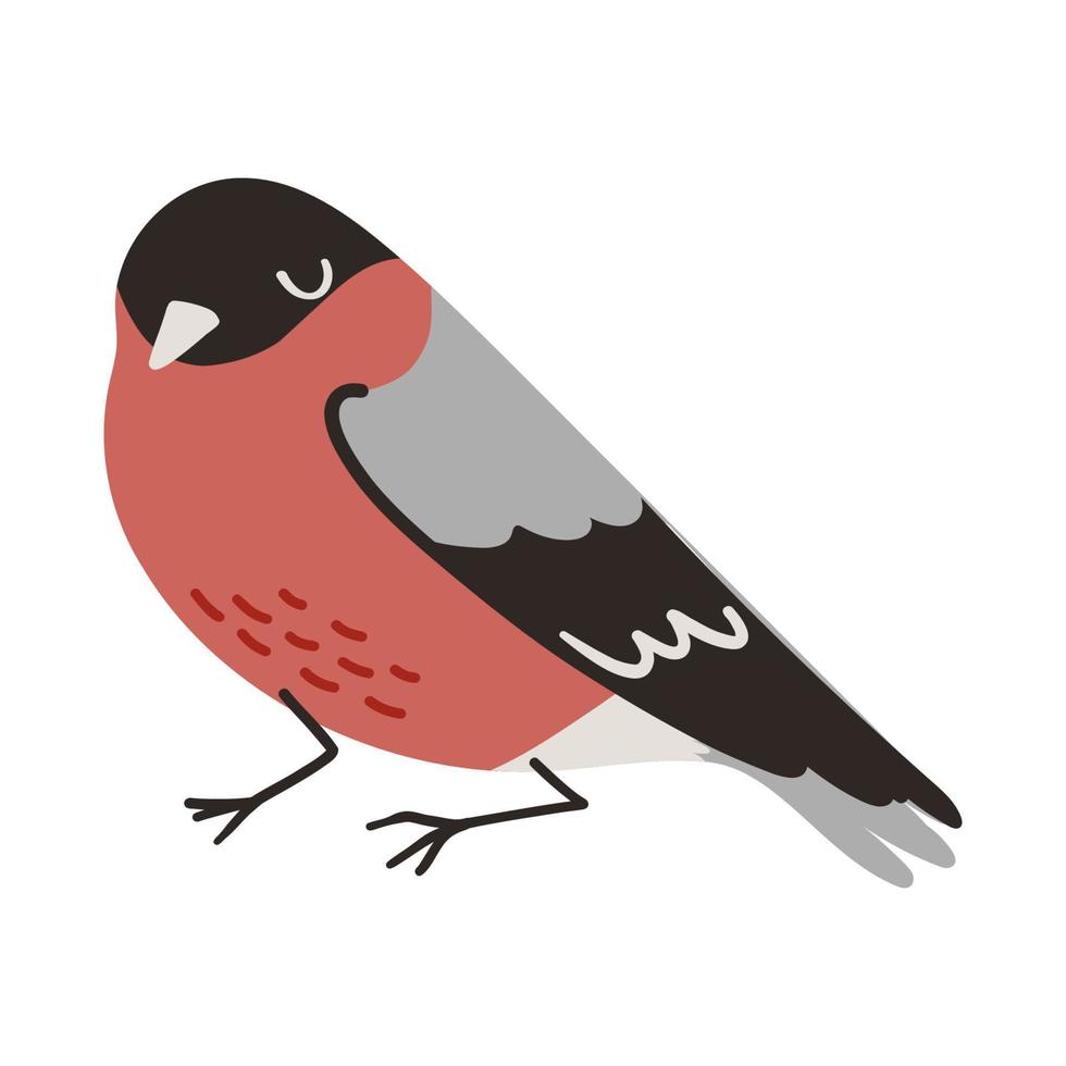 pájaro camachuelo. dibujado a mano ilustración de invierno de navidad vector