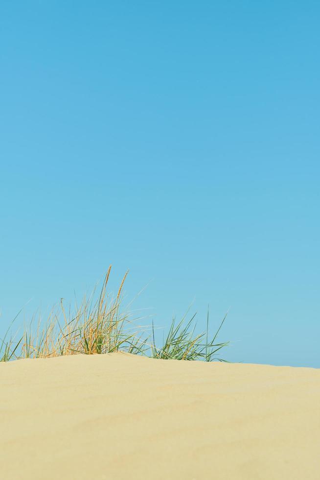 Wild beach, vertical shot, sand and bright blue summer sky, grass on the crest of a dune, seaside vacation idea, backdrop or screensaver for advertising photo