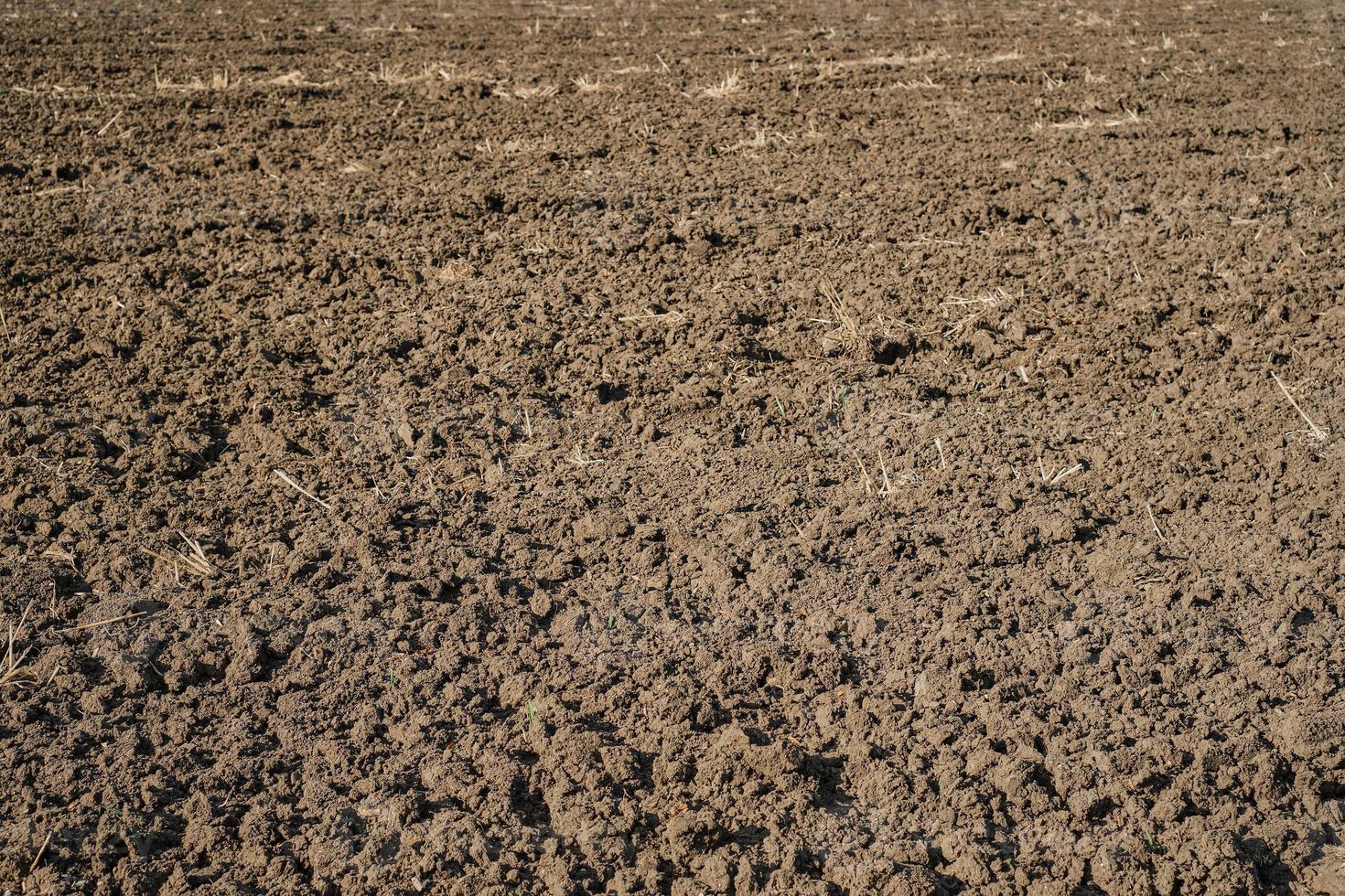 Plowed field in spring, preparation for sowing crops. Caring for the ecology of the earth, agricultural work on the farm. photo