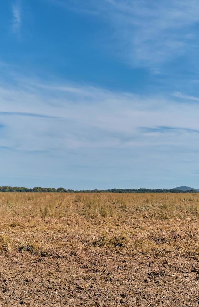 Dry field after summer drought, vertical shot, work in the agricultural season on the ground. Close-up, space for text photo
