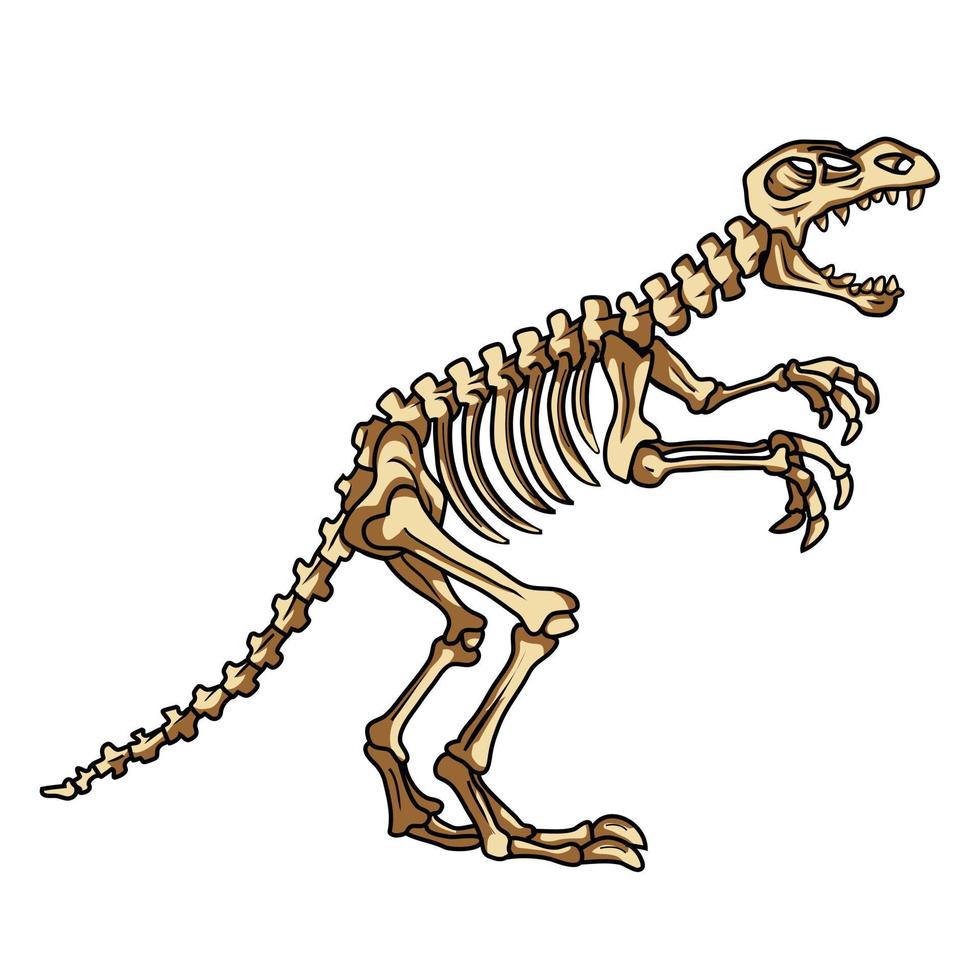 Dinosaur Fossil Illustration vector