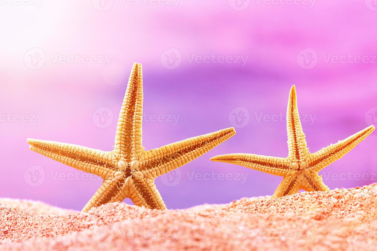 dos estrellas de mar naranjas en la arena con puesta de sol. concepto de playa, vacaciones, viajes. copie el espacio foto