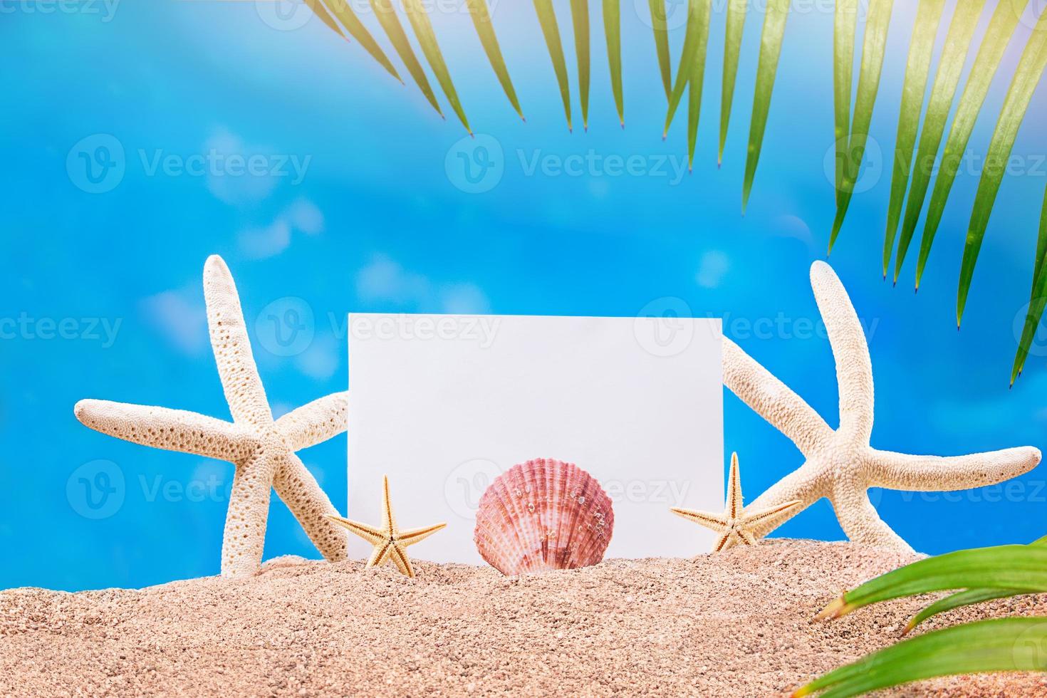 White and yellow starfish, sea shell with sheet of paper and palm trees on sand. Vacation, travel concept, holiday. Copy space photo