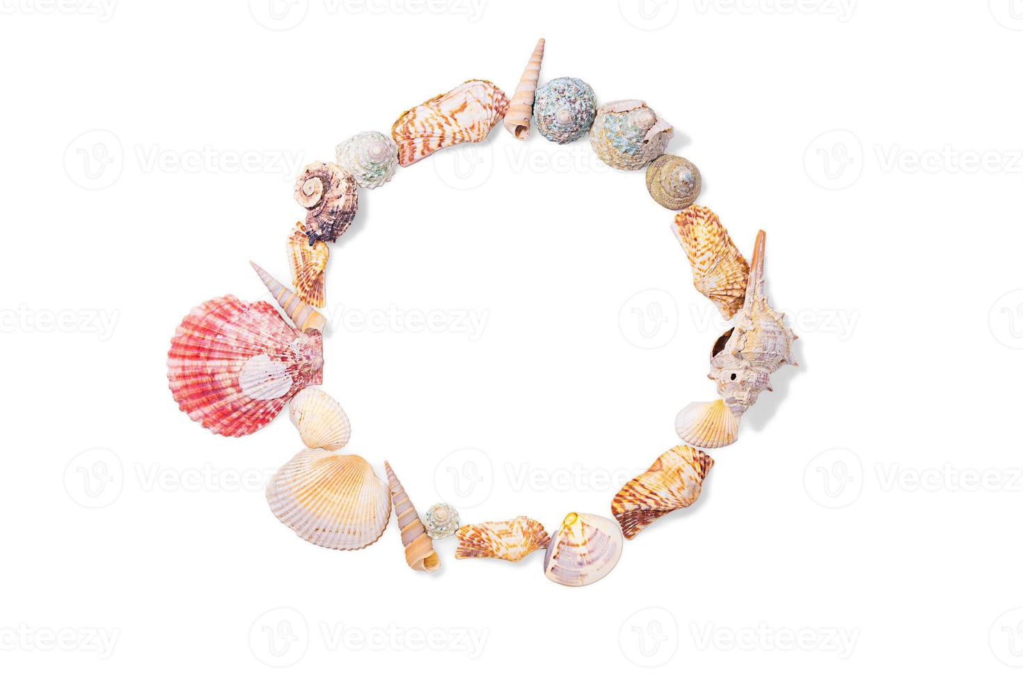 Round frame from seashells, molluscs and seashells on white isolated background. Sea background. Copy space photo