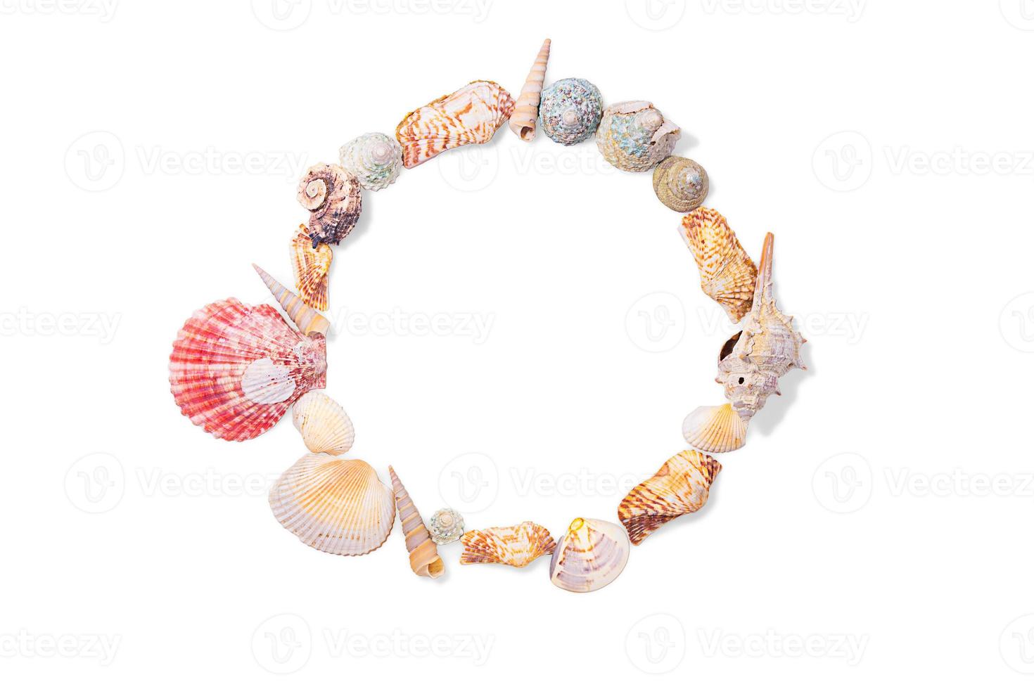 Round frame from seashells, molluscs and seashells on white isolated background. Sea background. Copy space photo