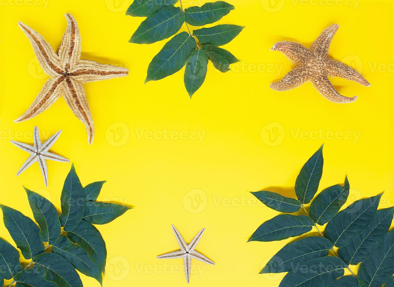 Green leaves, starfish on yellow background with space for text. Vacation, beach and travel concept. Copy space photo