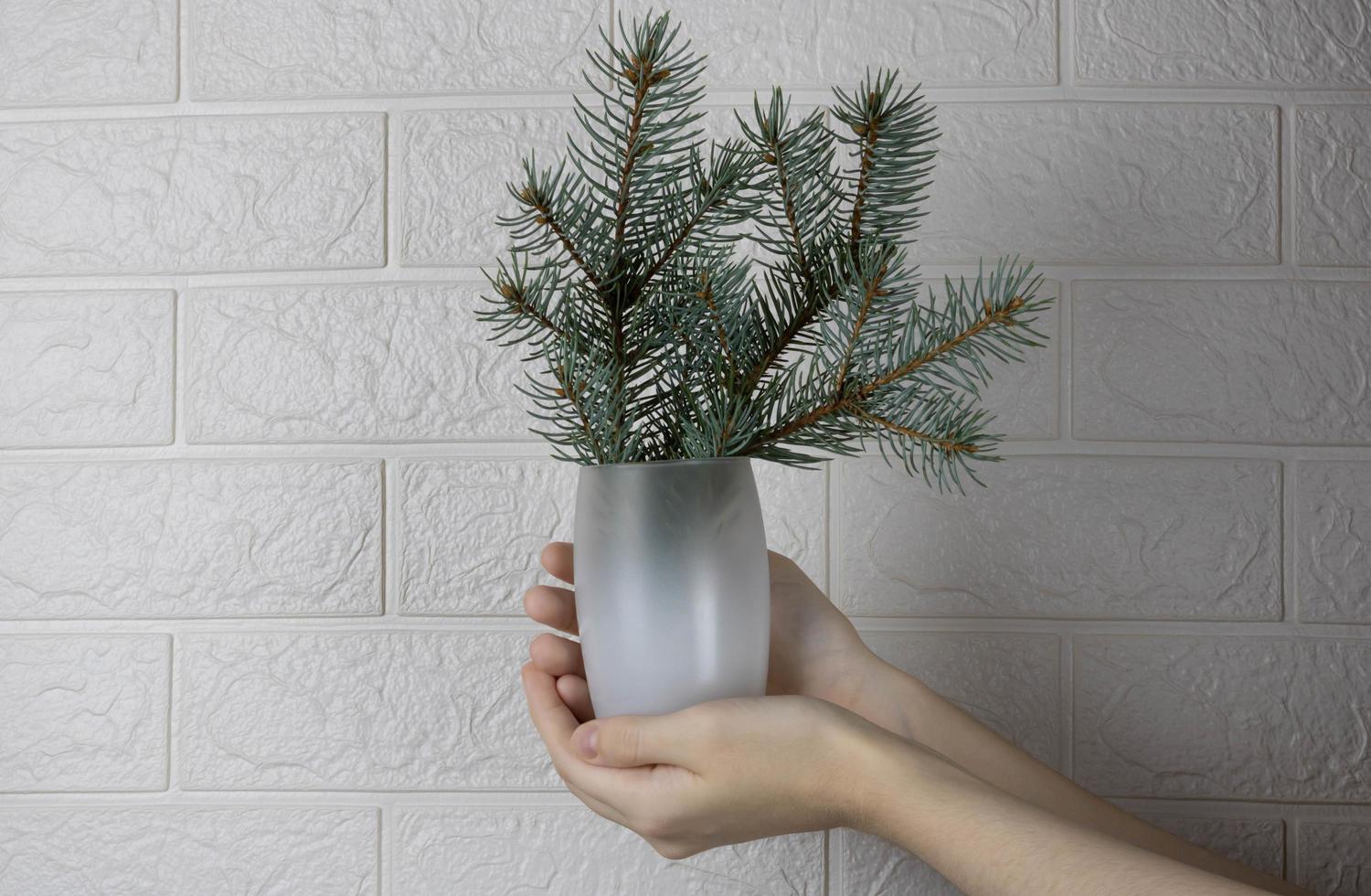 The hand holds a frosted glass with a bouquet of fir branches. The concept of New year, Christmas photo