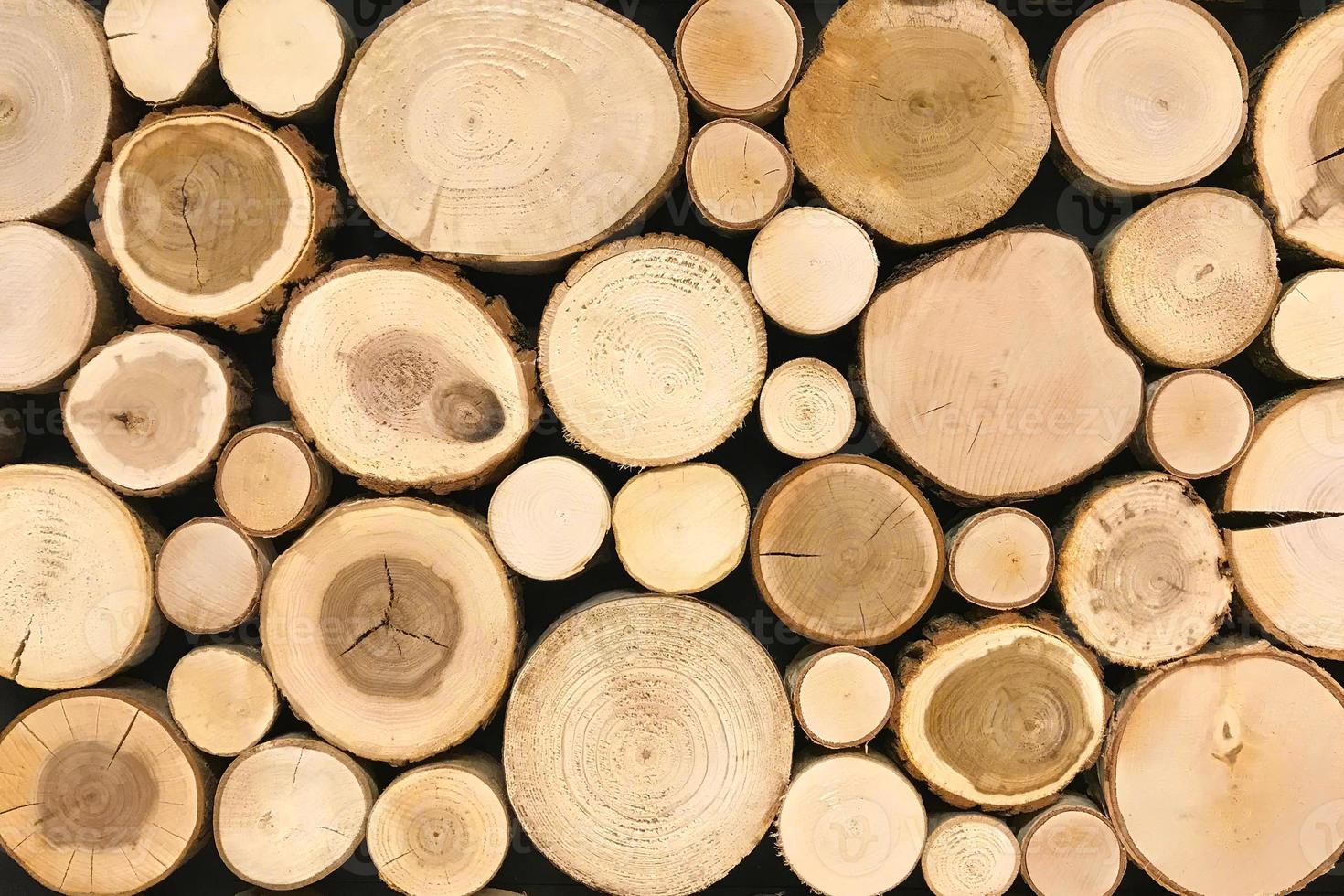 round teak wood stump background. Trees cut section for background texture photo