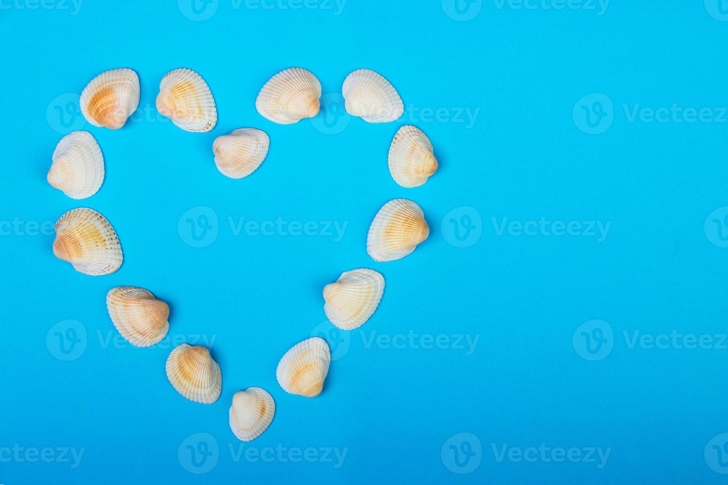 Symbolic heart made from seashells lying on blue background photo