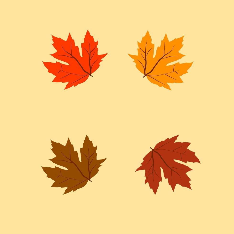 4 leafs maple template with copy space. vector
