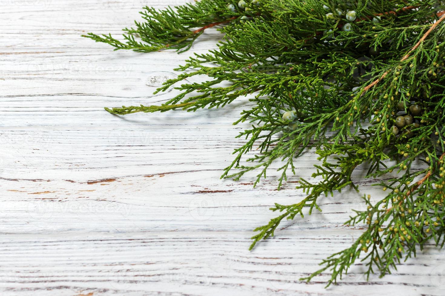 Green juniper twig with green cones lay on wooden table photo