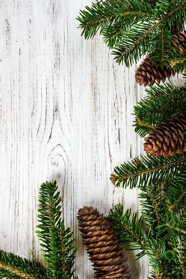 Christmas background. tree branches with cones Copy space photo