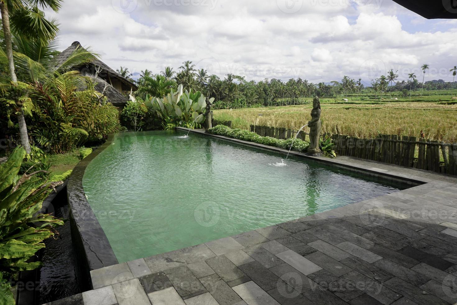 un retrato de una piscina junto a un campo de arroz, árboles y plats en un resort en ubud, bali foto