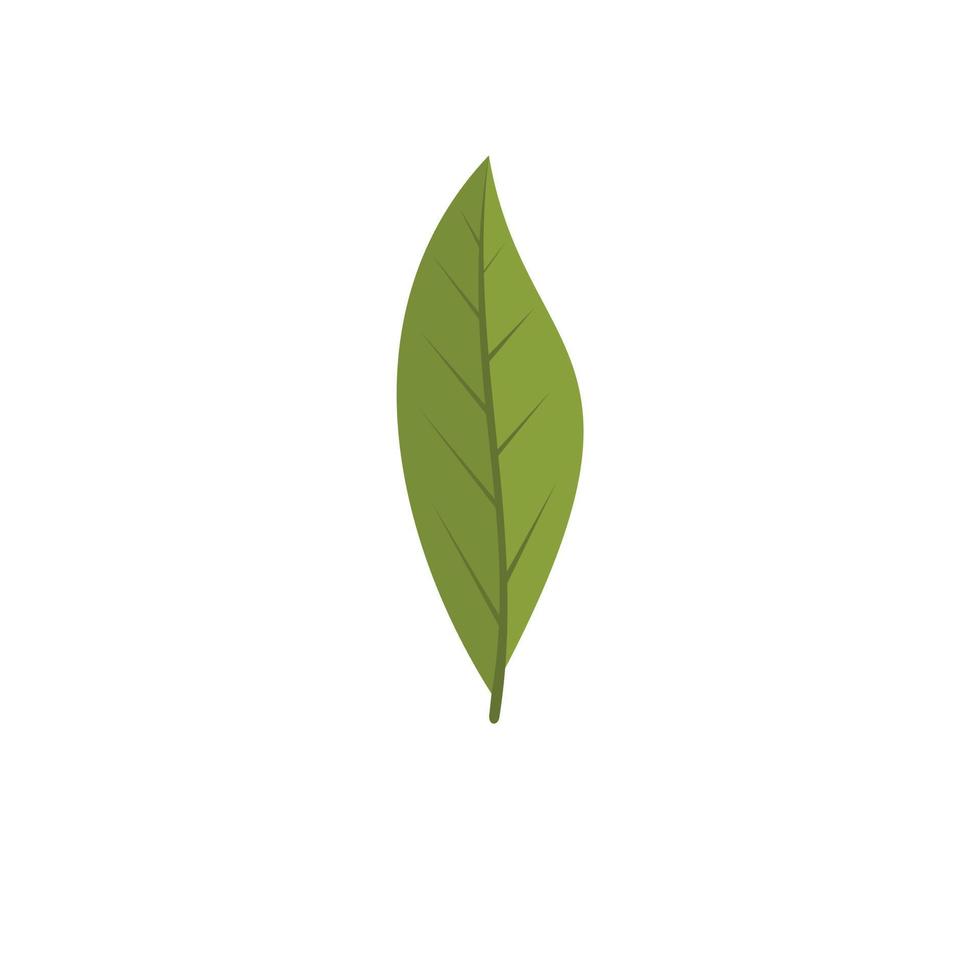 icono de hoja de laurel, estilo plano vector