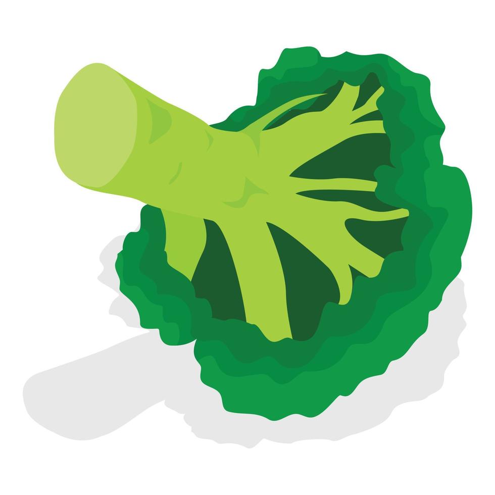 conjunto de iconos de brócoli ecológico, estilo isométrico vector