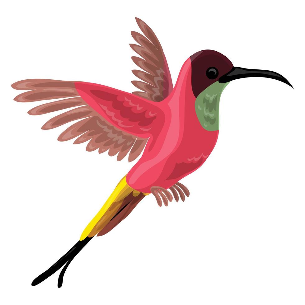 icono de pájaro colibri, estilo de dibujos animados vector