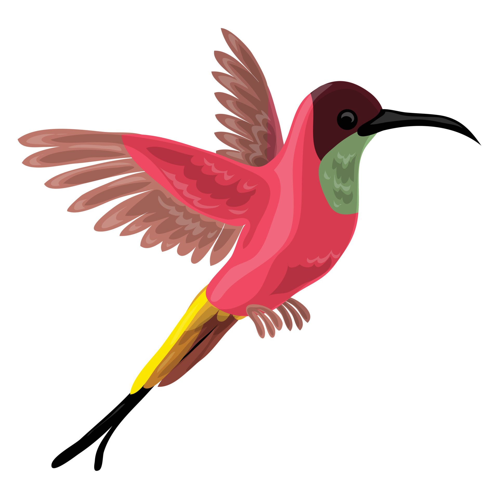 icono de pájaro colibri, estilo de dibujos animados 14568079 Vector en  Vecteezy