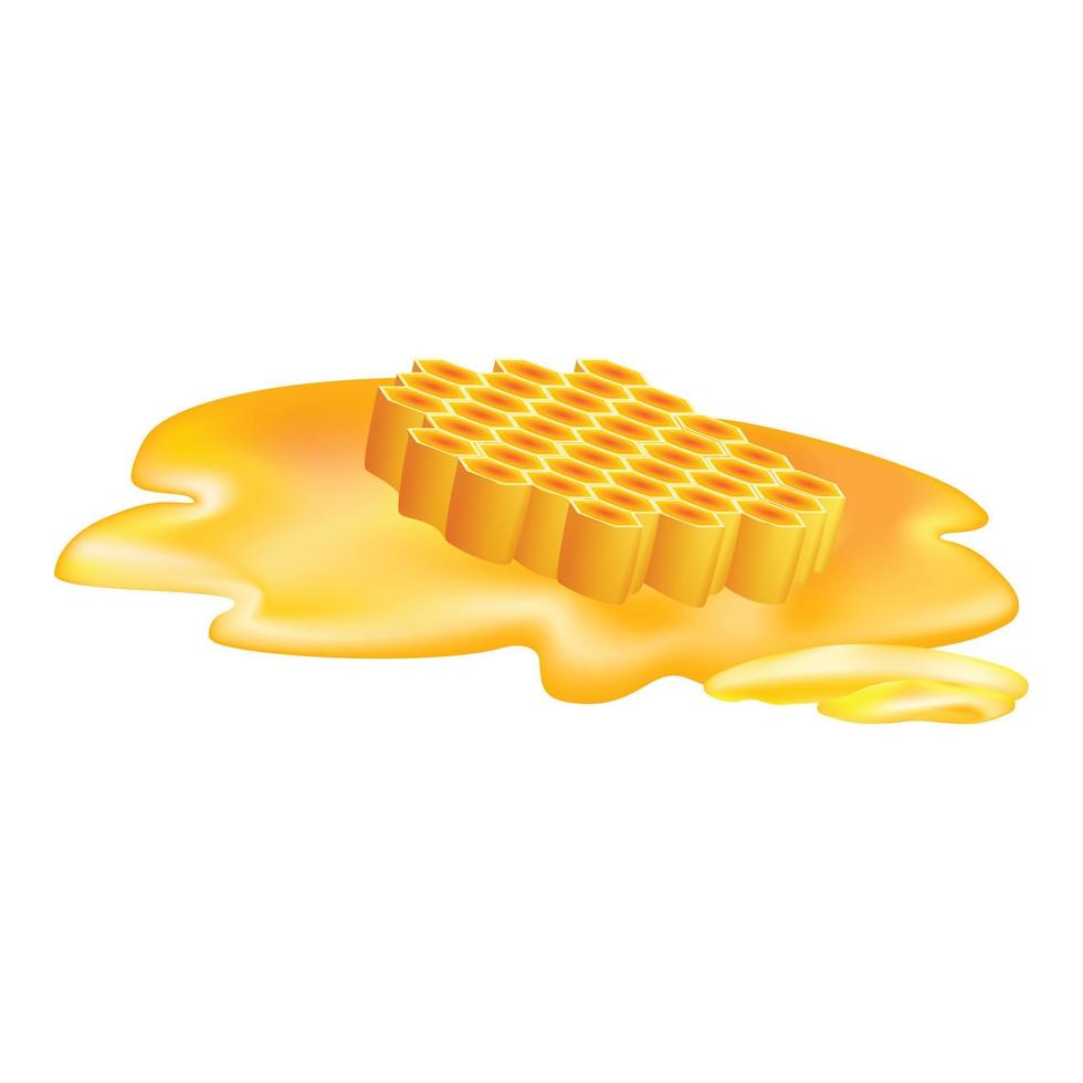 Honey cell icon, cartoon style vector