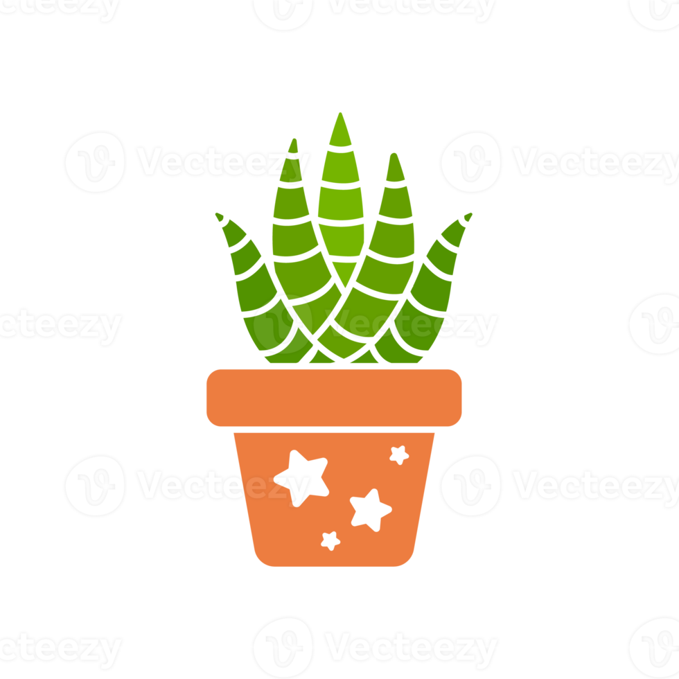 cactus en plante en pot. cactus une variété de plantes succulentes qui sont populaires à cultiver png