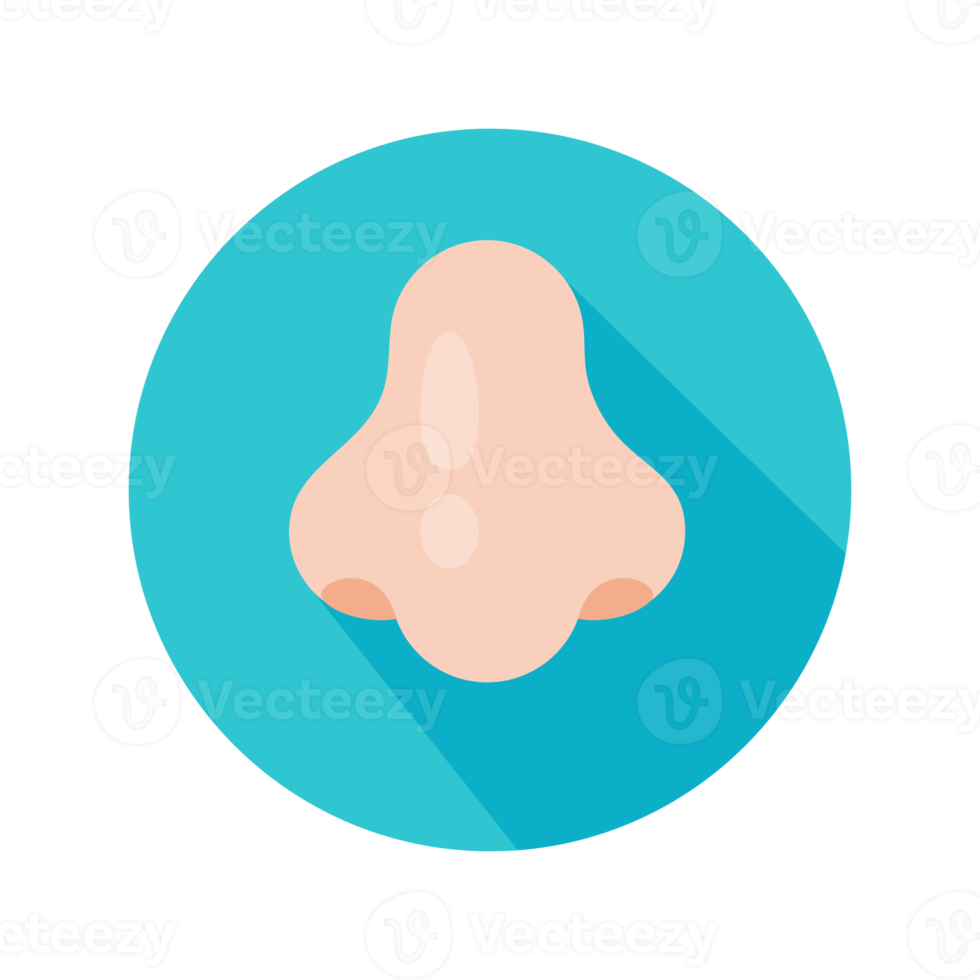 Nose icon. Runny nose The concept of care for patients with viral fever png