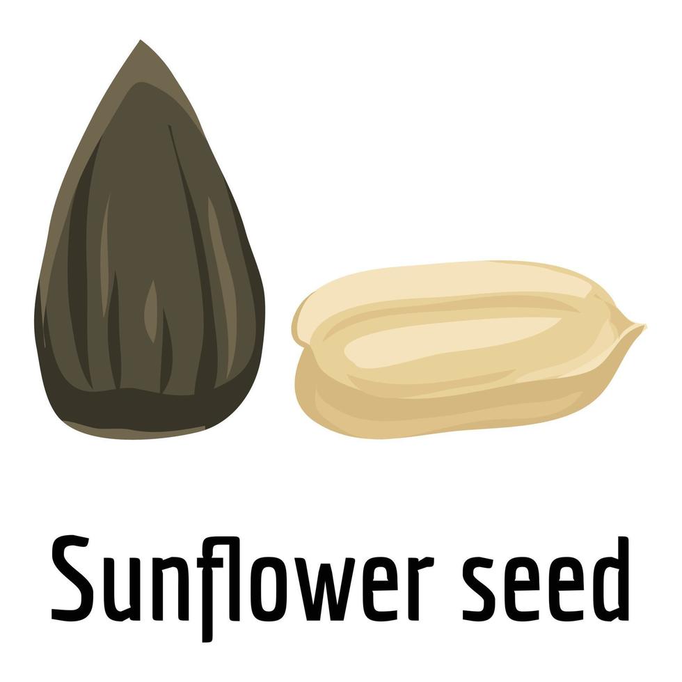 Sunflower seed icon, cartoon style vector