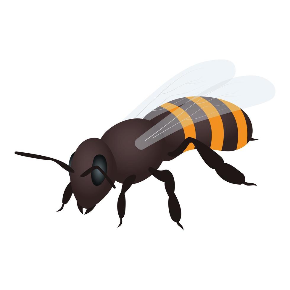 Bee icon, isometric style vector