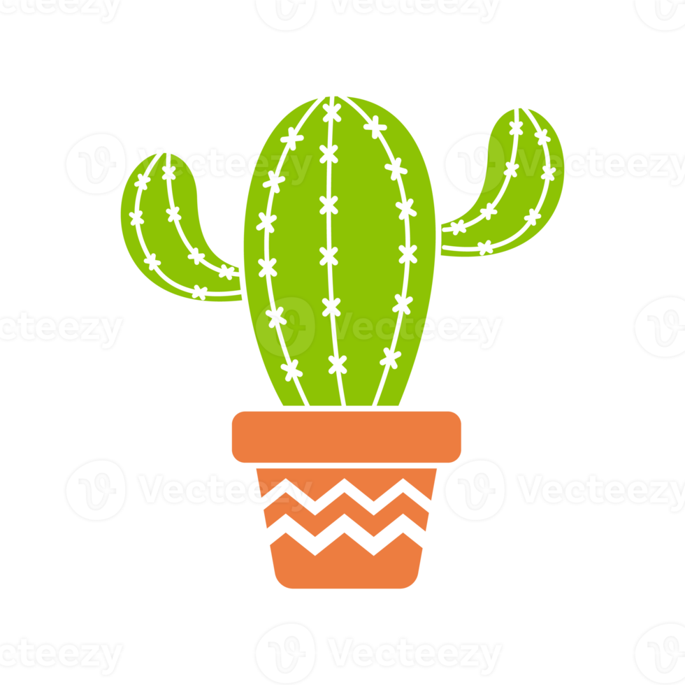 cactus en plante en pot. cactus une variété de plantes succulentes qui sont populaires à cultiver png