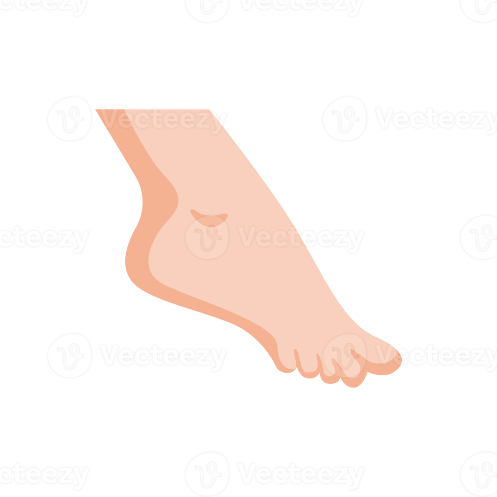 Footprint icon. Smelly feet The concept of keeping your feet healthy by washing your feet. png