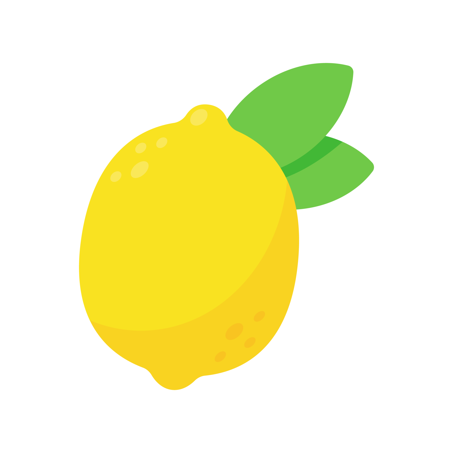 sour yellow lemon For cooking and lemon juice 14571809 PNG