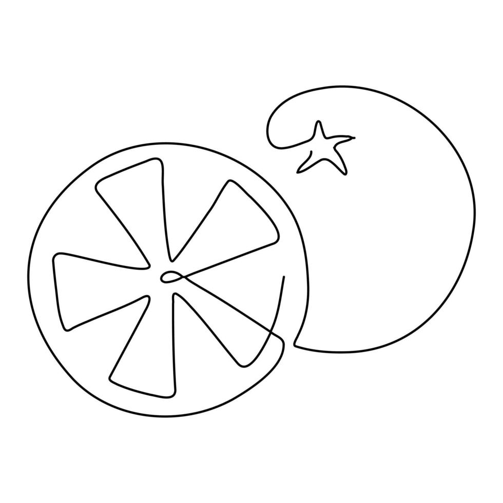 line art drawing fruit symbol element for logo and printable design orange lime vector