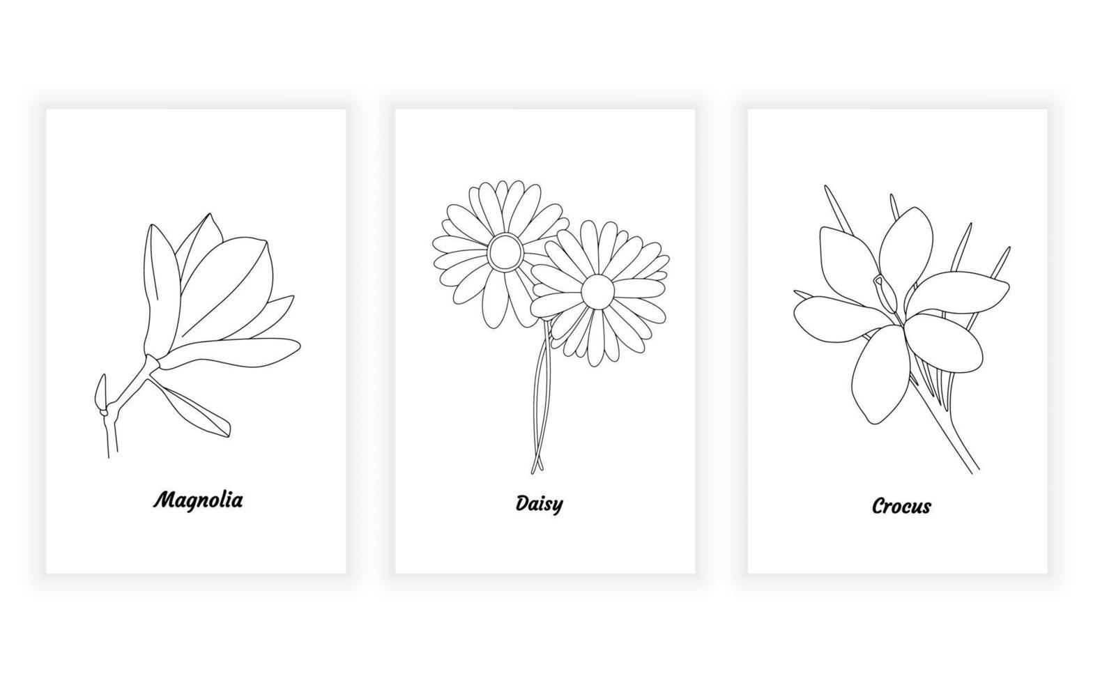 ilustración de dibujo de arte de línea de flor de minimalismo moderno vectorial. magnolia, margarita, azafrán vector